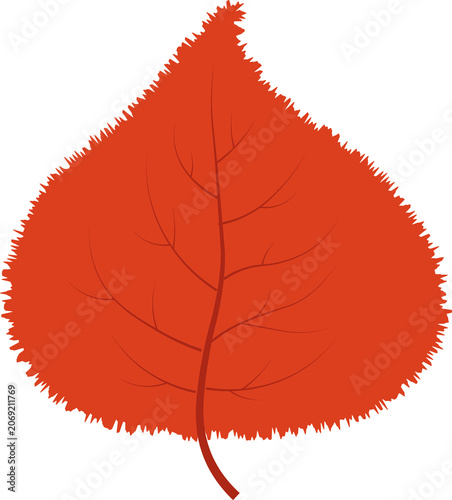 vector illustration of a leaf