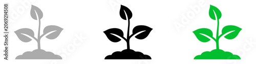 Tableau sur toile Plant icon vector illustration