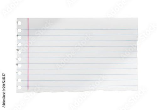 Single torn edge sheet of lined notebook paper isolated on a transparent background for notes