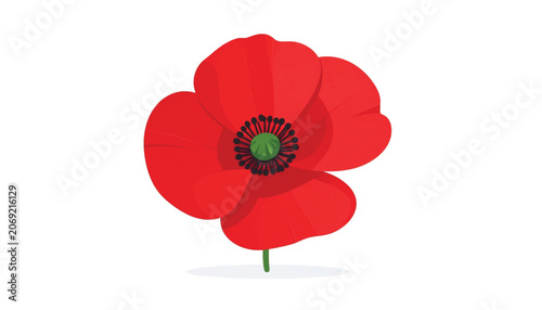 Red Poppy Flower Closeup View.
