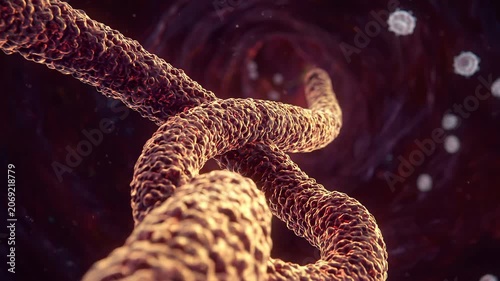 Microscopic 3D rendering of a single FILOVIRUS virion emerging from darkness inside a dark biological vein, medical visualization of viral structure