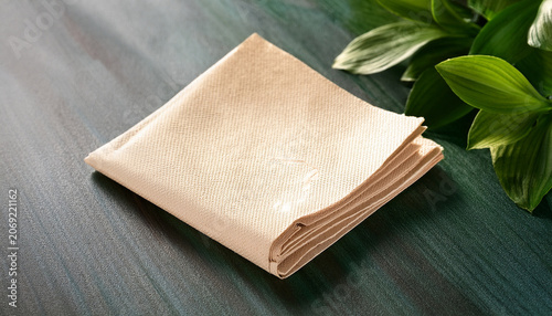 Eco Friendly Disposable Paper Napkin