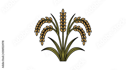 Rice Stalks Vector Illustration