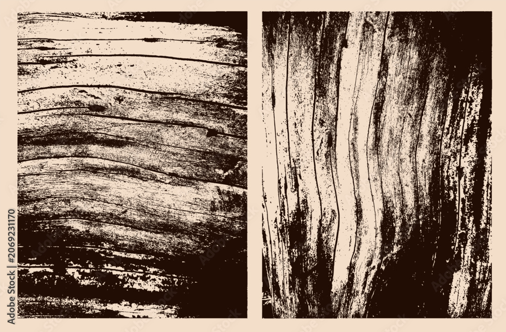 Fototapeta premium Natural wooden textures with tree ring patterns, cut trunk stamps. Eco concept banner featuring vertical, horizontal light wood grain, concentric growth lines, organic timber background, rustic forest