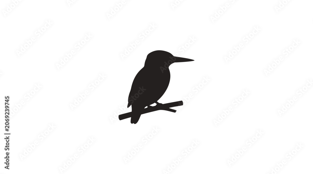 Obraz premium Kingfisher Bird Silhouette Vector