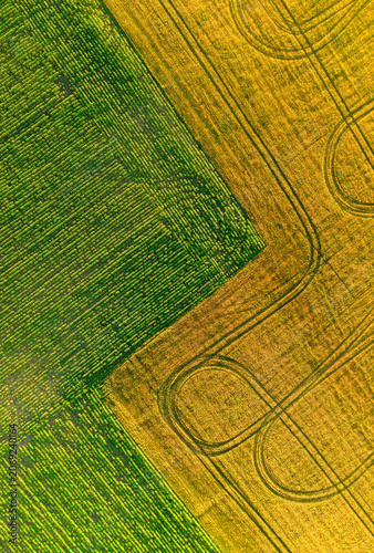 Tableau sur toile Aerial view of colorful agricultural fields in summer, patchwork landscape of di
