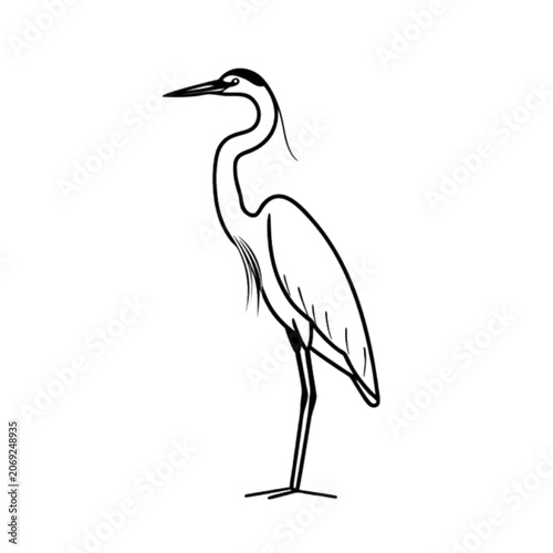 great bird 