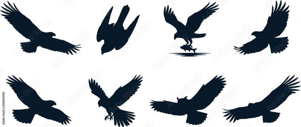 Fototapeta premium Collection of bird of prey silhouettes featuring eagles and hawks in flight and landing poses