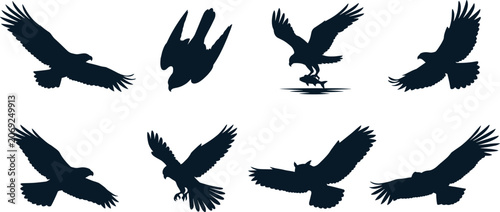 Foto Collection of bird of prey silhouettes featuring eagles and hawks in flight and