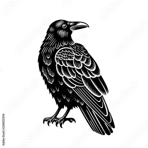 vector illustration of an eagle