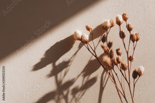 Delicate dried flowers cast long shadows on a textured warm brown wall with soft natural sunlight creating a peaceful and serene atmosphere in a minimalist setting