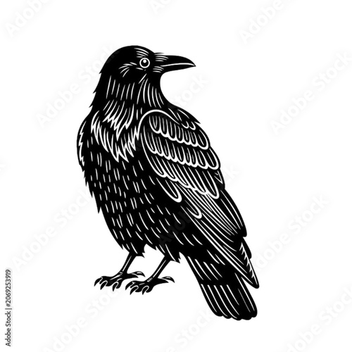 bird on a branch