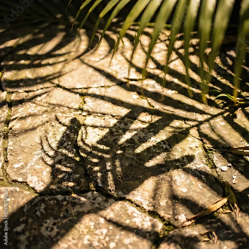 Palm shadows with a hand shadows on the ground
