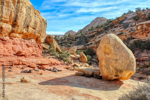 Capitol Reef Wash