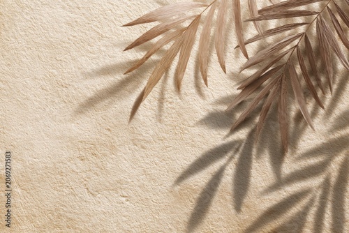 Brown palm fronds casting shadows on a rough, textured surface, creating natural shapes