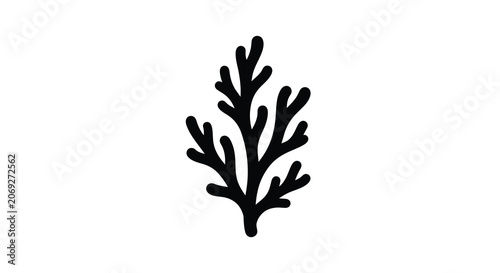 Photos Coral branch silhouette against a white background silhouette