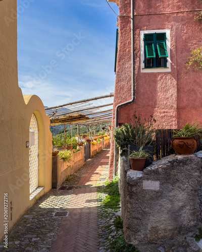 Narrow stone alley in Verezzi lined with typical pink house, green shutters, and a wooden pergola, Luguria region, Italy