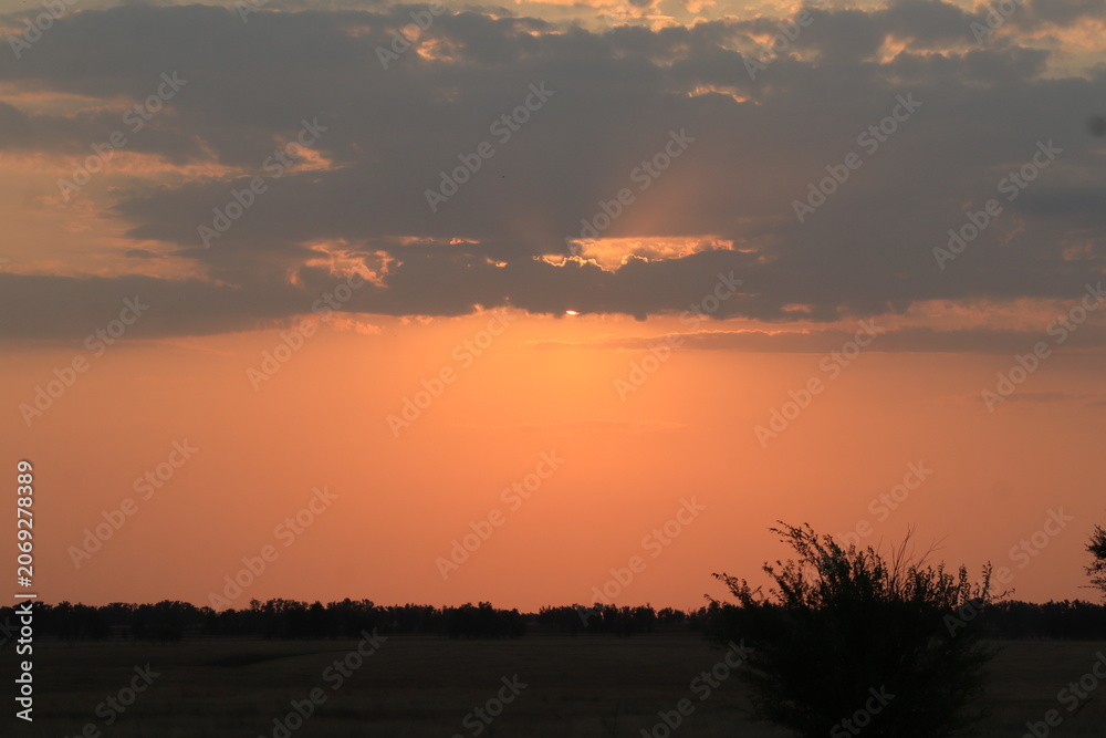 Fototapeta premium sunset in the steppe