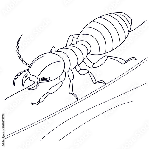 Detailed line art illustration of a termite insect with entomology wildlife illustration monochrome creature scientific