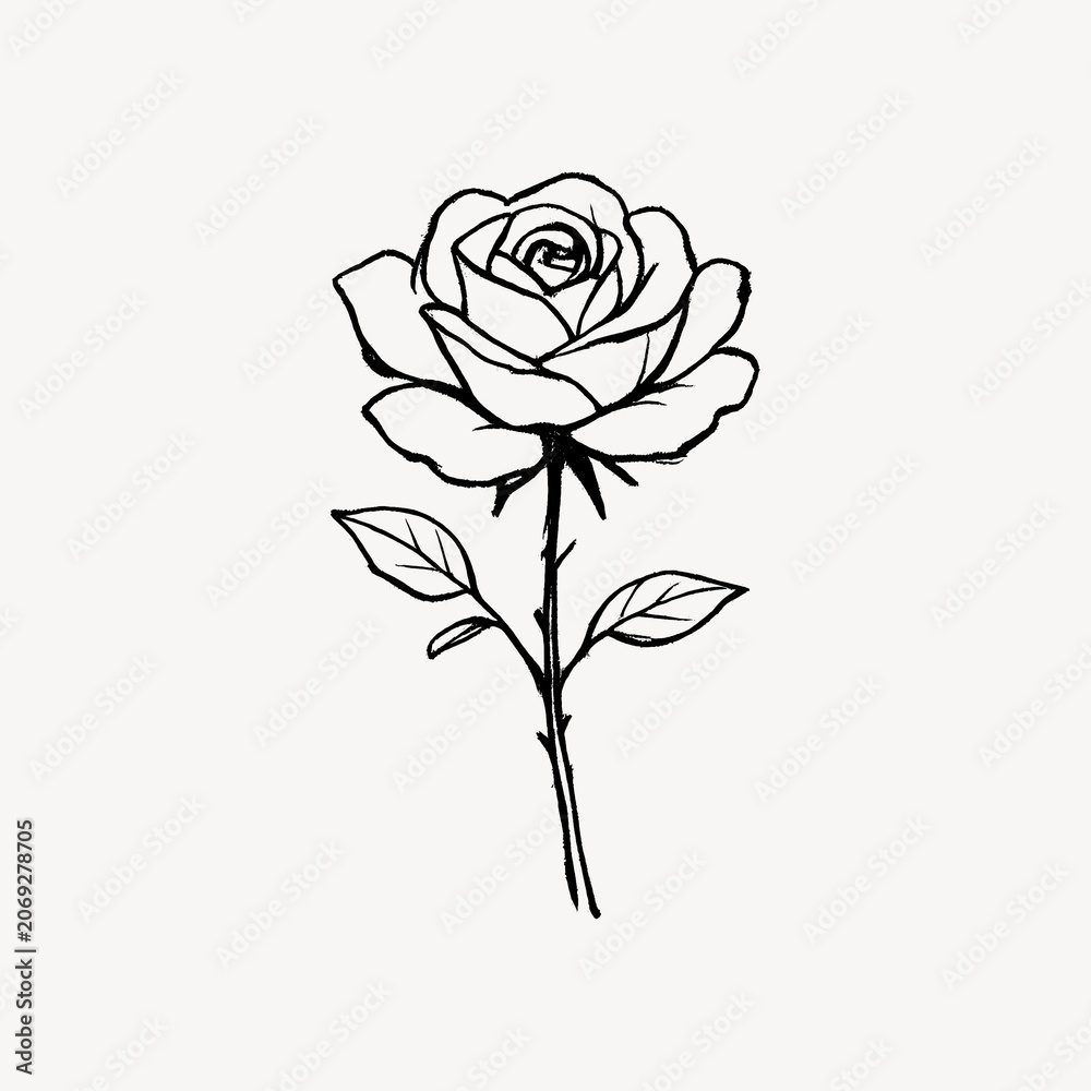 Fototapeta premium Elegant rose sketch with simplicity.