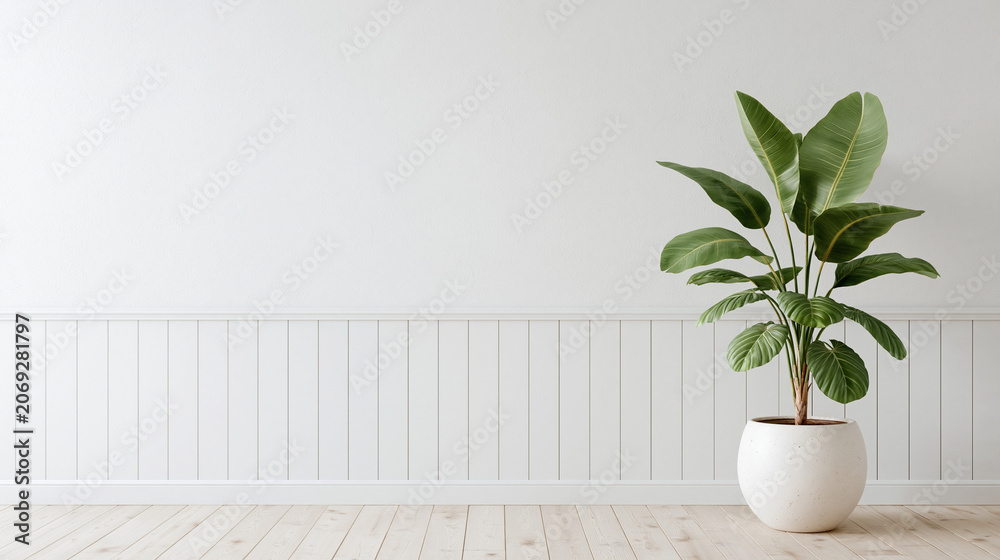 Fototapeta premium A green potted plant stands against a white wall in a bright and minimalist empty room with wooden floors