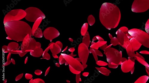 Rose petals flying in slow motion, Luma Matte