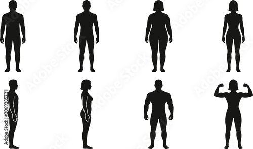Bilde på lerret Human body types and proportions icon set featuring black silhouettes of diverse