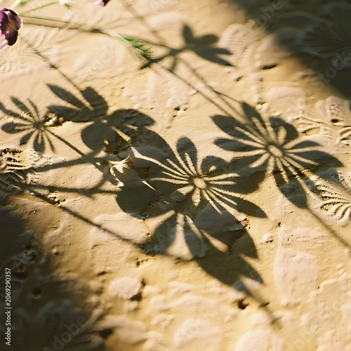 Floral shadows
