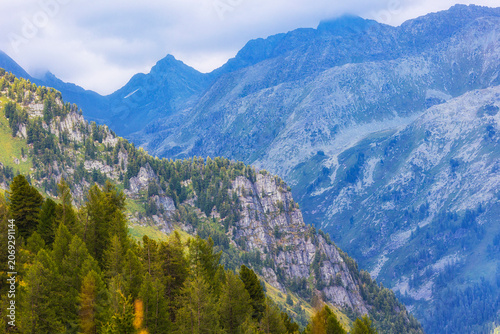 Beautiful summer mountain landscape. Altai, Russia