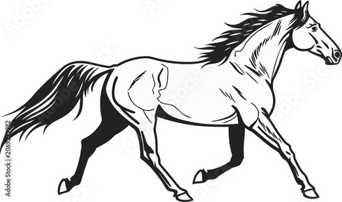 Schilderij op canvas Running horse silhouette in a dynamic pose, black and white of a galloping equin