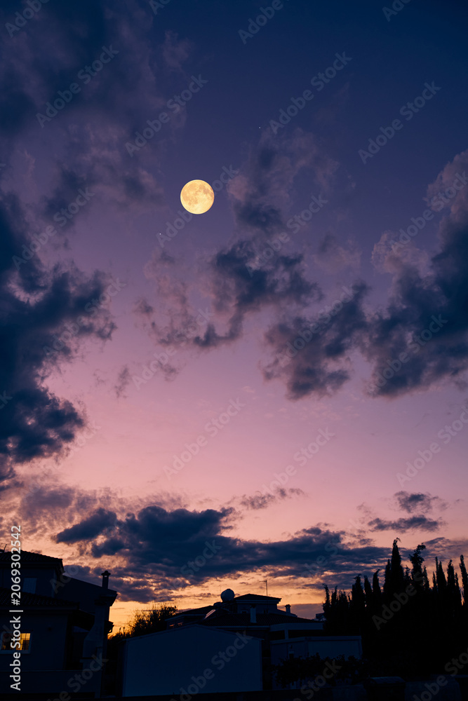 Fototapeta premium Full Moon with urban silhouettes.