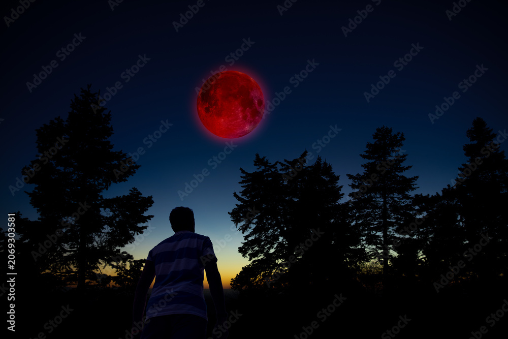 Fototapeta premium Amateur astronomer observing stars, planets, Moon eclipse and other celestial objects.