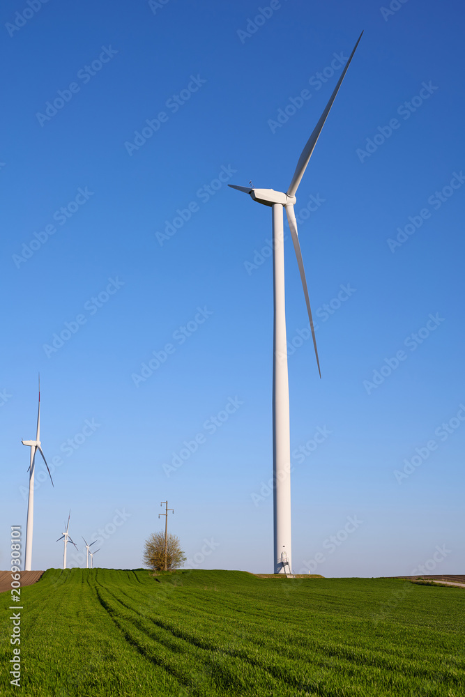 Fototapeta premium Wind turbines at sunset in green field – renewable energy, clean power, sustainable future.