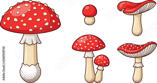 Canvastavla Red Fly Agaric Mushroom Vector Set with Amanita Muscaria Elements for Autumn For