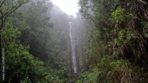 Waterfall Cascading Through Lush Laurisilva Forest on the Hiking Trail in Madeira, Portugal