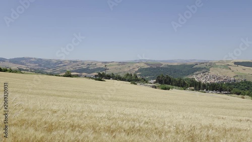 A summer landscape in the Puglia countryside, Italy.