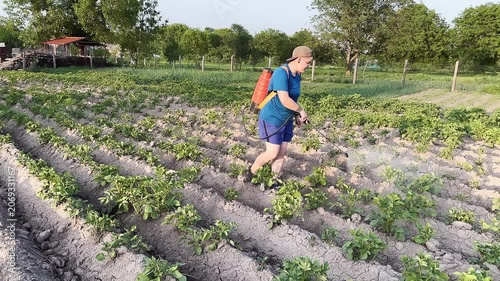 Person Walking Through Vegetable Garden in Slow Motion