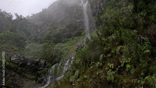 Waterfall Cascading Through Lush Laurisilva Forest on the Hiking Trail in Madeira, Portugal