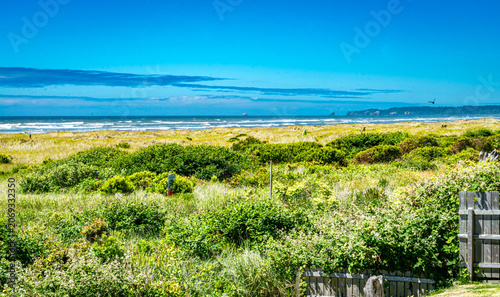 Ocean View Moclips 3