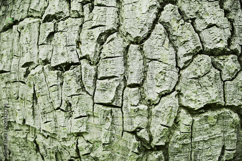 Vintage style wooden background, rough texture of old logs.