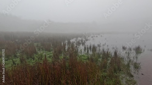 Mysterious Eerie Landscape of a Mountain Lake Veiled in Mist and Fog, Madeira, Portugal
