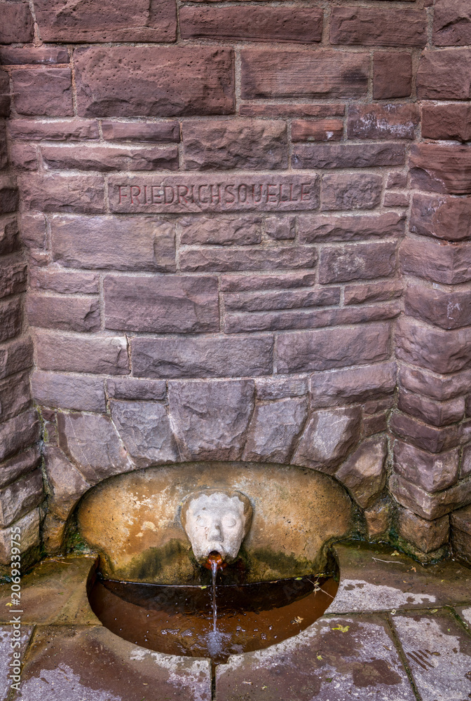 Fototapeta premium Historic Friedrichsquelle water spring in Bad Pyrmont, Germany, dispensing natural mineral water from a stone-carved spout.