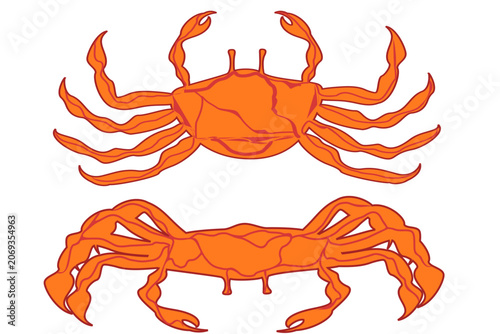 Obraz na plátne Imagination art set of crab images with orange color and red lines, isolated fla