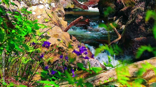 Landscape of a small stream in the Aude department, in the foothills of the Montagne Noire in Occitanie. Dense forest in the South of France.