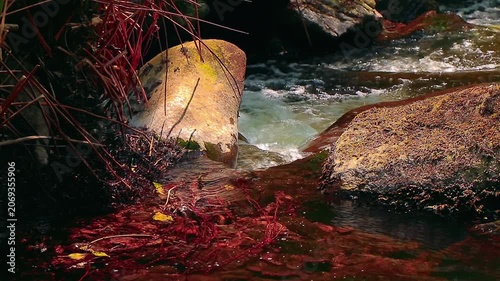 Landscape of a small stream in the Aude department, in the foothills of the Montagne Noire in Occitanie. Dense forest in the South of France.