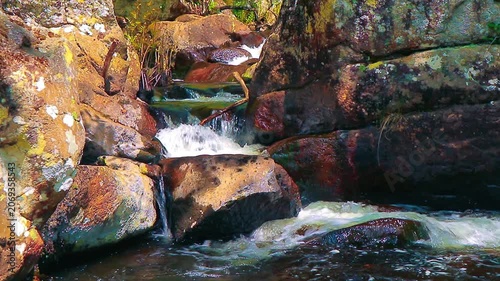 Landscape of a small stream in the Aude department, in the foothills of the Montagne Noire in Occitanie. Dense forest in the South of France.