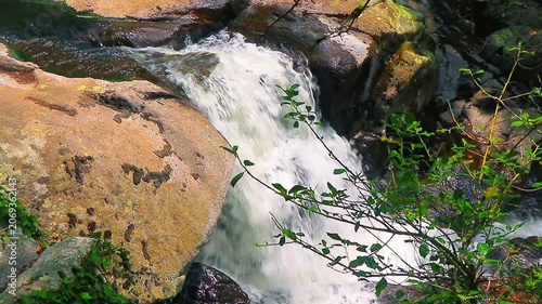 Landscape of a small stream in the Aude department, in the foothills of the Montagne Noire in Occitanie. Dense forest in the South of France.