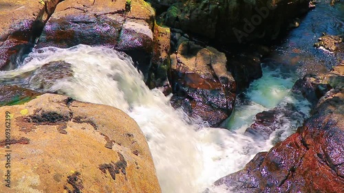 Landscape of a small stream in the Aude department, in the foothills of the Montagne Noire in Occitanie. Dense forest in the South of France.