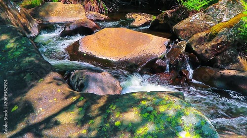 Landscape of a small stream in the Aude department, in the foothills of the Montagne Noire in Occitanie. Dense forest in the South of France.