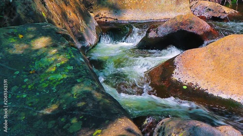 Landscape of a small stream in the Aude department, in the foothills of the Montagne Noire in Occitanie. Dense forest in the South of France.